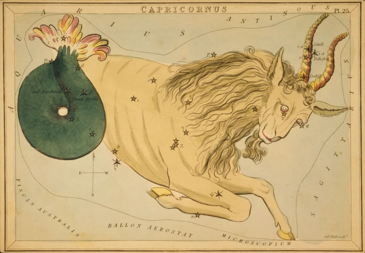 Capricorn: The Sea-Goat